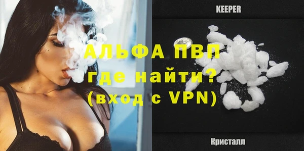 стафф Бородино