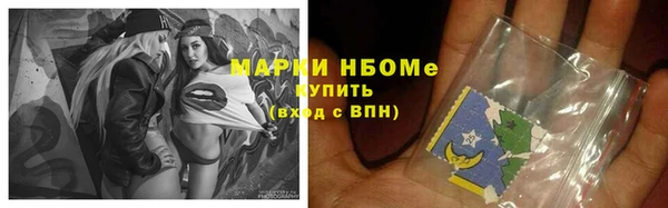 стафф Бородино