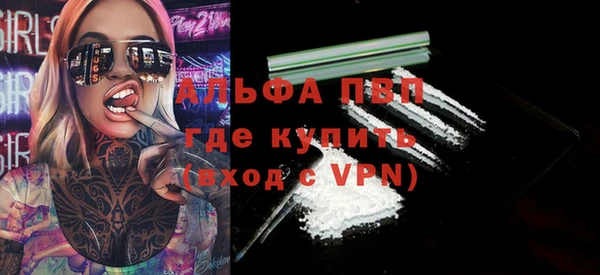 стафф Бородино