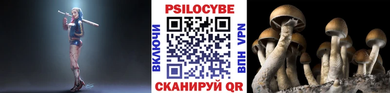 дарнет шоп  Горняк  Галлюциногенные грибы ЛСД 