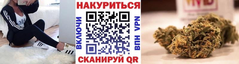 сколько стоит  Горняк  Бошки марихуана VHQ 